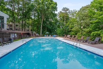 A large swimming pool surrounded by trees and lounge chairs.